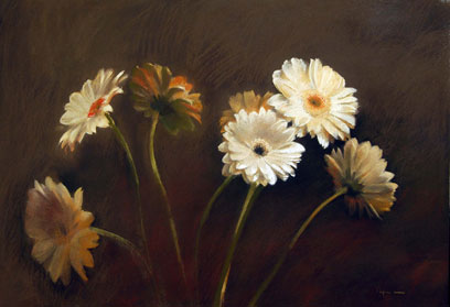 Gerbera Daisies