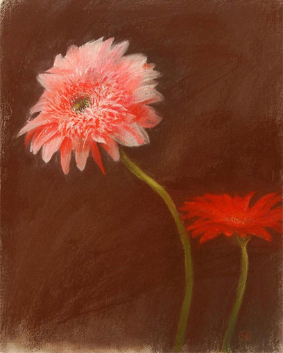 Two Gerberas